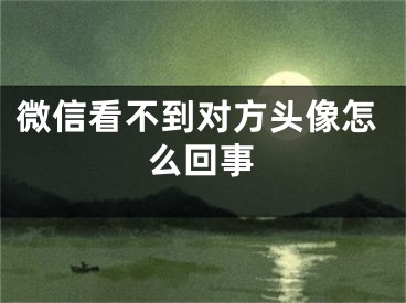 微信看不到对方头像怎么回事