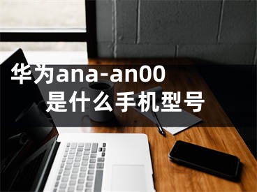 华为ana-an00是什么手机型号