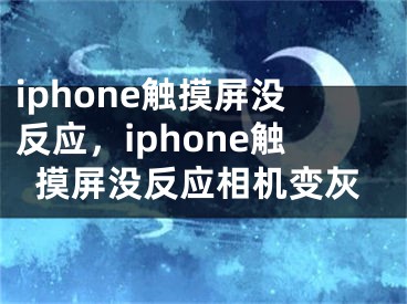 iphone触摸屏没反应，iphone触摸屏没反应相机变灰