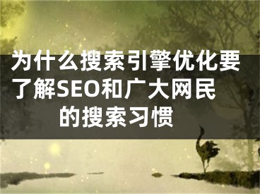 为什么搜索引擎优化要了解SEO和广大网民的搜索习惯  