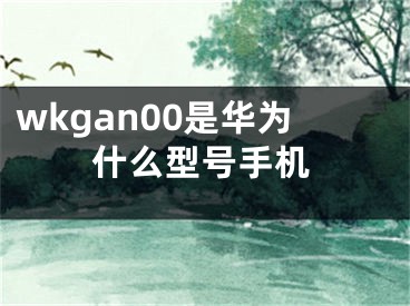 wkgan00是华为什么型号手机