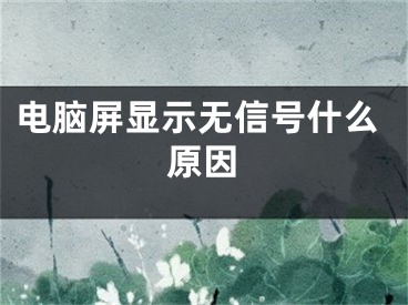 电脑屏显示无信号什么原因