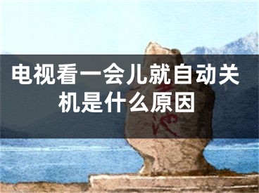 电视看一会儿就自动关机是什么原因