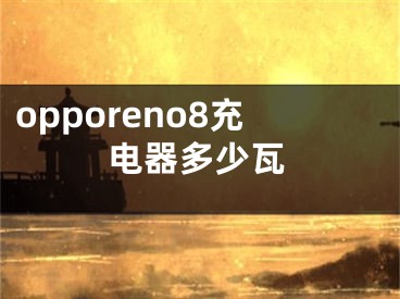 opporeno8充电器多少瓦