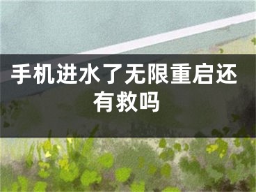 手机进水了无限重启还有救吗