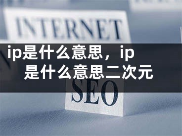 ip是什么意思，ip是什么意思二次元