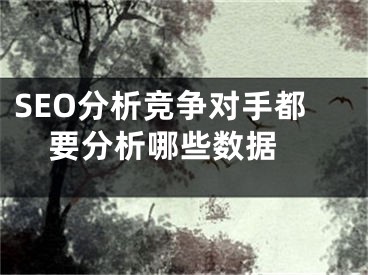 SEO分析竞争对手都要分析哪些数据 