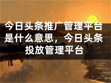 今日头条推广管理平台是什么意思，今日头条投放管理平台