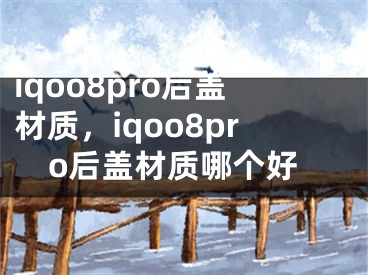 iqoo8pro后盖材质，iqoo8pro后盖材质哪个好