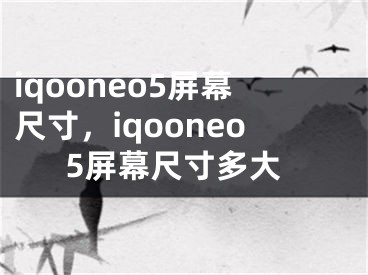 iqooneo5屏幕尺寸，iqooneo5屏幕尺寸多大