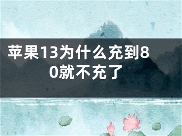 苹果13为什么充到80就不充了