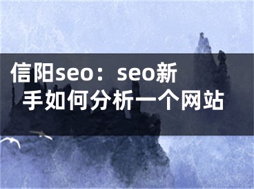 信阳seo：seo新手如何分析一个网站
