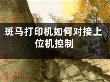 斑马打印机如何对接上位机控制