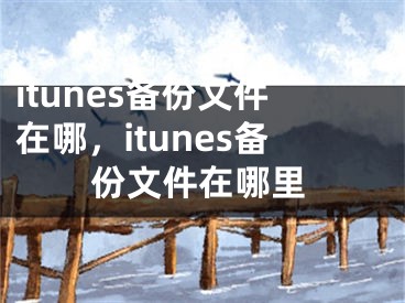 itunes备份文件在哪，itunes备份文件在哪里