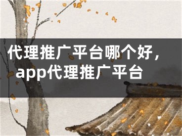 代理推广平台哪个好，app代理推广平台