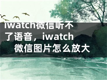 iwatch微信听不了语音，iwatch微信图片怎么放大