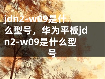 jdn2-w09是什么型号，华为平板jdn2-w09是什么型号