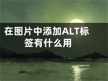 在图片中添加ALT标签有什么用 