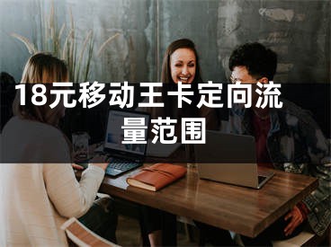 18元移动王卡定向流量范围