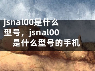 jsnal00是什么型号，jsnal00是什么型号的手机