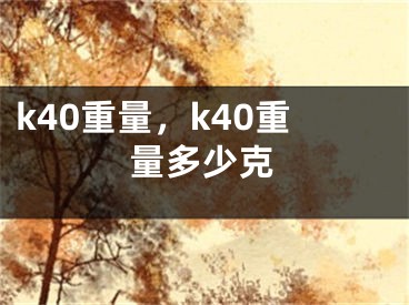 k40重量，k40重量多少克 