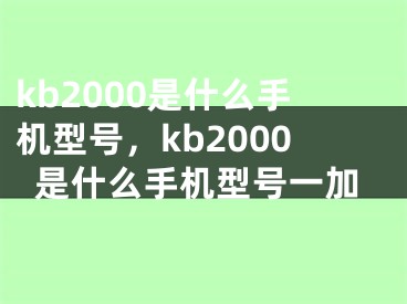 kb2000是什么手机型号，kb2000是什么手机型号一加