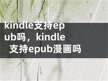 kindle支持epub吗，kindle支持epub漫画吗