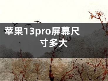 苹果13pro屏幕尺寸多大