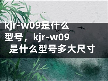 kjr-w09是什么型号，kjr-w09是什么型号多大尺寸