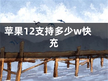 苹果12支持多少w快充