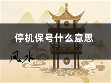停机保号什么意思