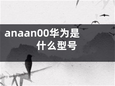 anaan00华为是什么型号