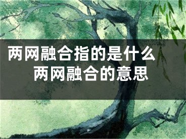 两网融合指的是什么 两网融合的意思