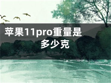 苹果11pro重量是多少克 