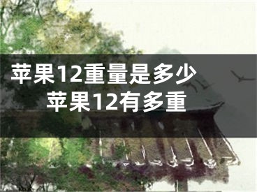 苹果12重量是多少 苹果12有多重