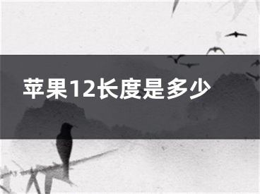 苹果12长度是多少