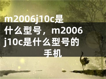 m2006j10c是什么型号，m2006j10c是什么型号的手机