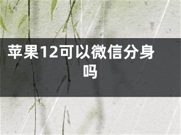 苹果12可以微信分身吗