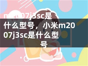 m2007j3sc是什么型号，小米m2007j3sc是什么型号