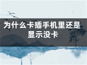 为什么卡插手机里还是显示没卡