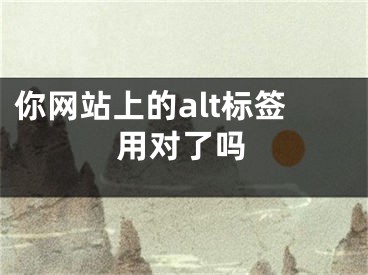 你网站上的alt标签用对了吗