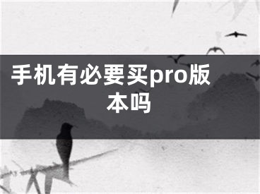 手机有必要买pro版本吗