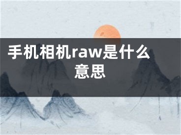 手机相机raw是什么意思