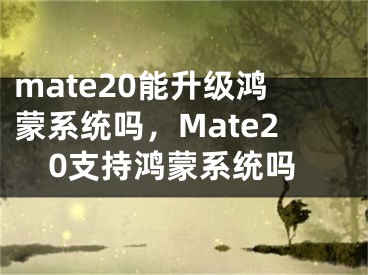 mate20能升级鸿蒙系统吗，Mate20支持鸿蒙系统吗