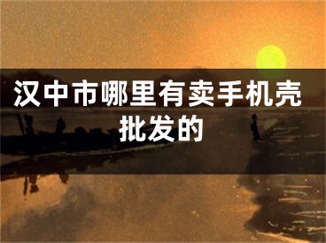 汉中市哪里有卖手机壳批发的