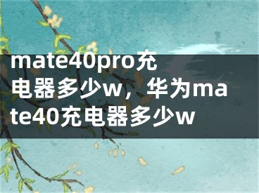 mate40pro充电器多少w，华为mate40充电器多少w