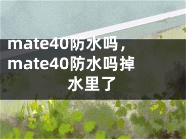 mate40防水吗，mate40防水吗掉水里了