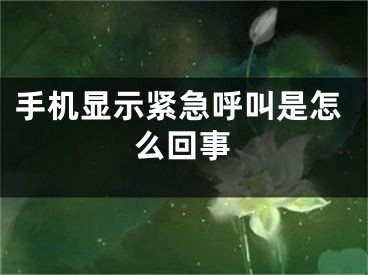 手机显示紧急呼叫是怎么回事