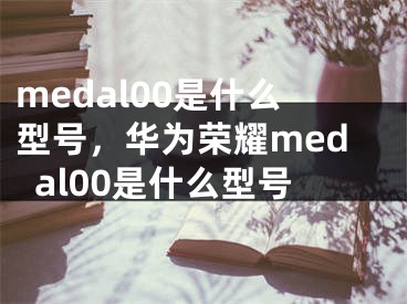 medal00是什么型号，华为荣耀medal00是什么型号