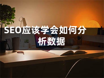 SEO应该学会如何分析数据